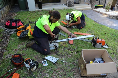 tree trimming pruning and cutting in the shire