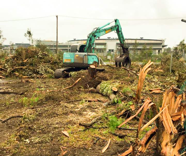 land-clearing