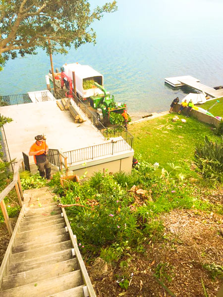 using-a-barge-for-waterfront-tree-removal